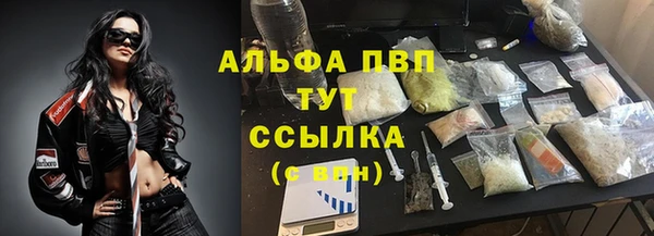 бошки Бородино