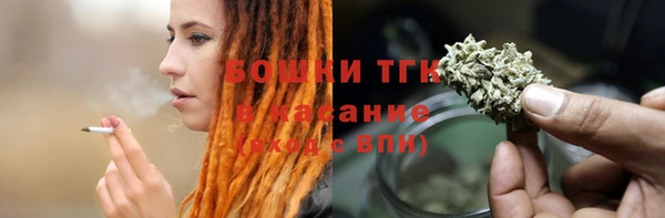 бошки Бородино