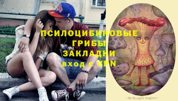 бошки Бородино