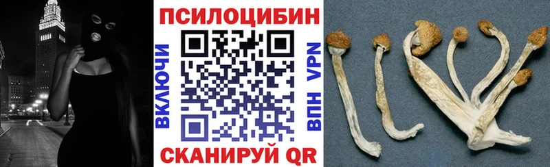 MEGA ONION  Нальчик  Галлюциногенные грибы прущие грибы 